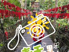 -呀诺达热带雨林