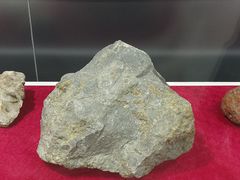 -嘉荫恐龙国家地质公园