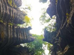 -梭布垭石林景区