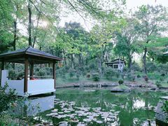 -深圳国际园林花卉博览园