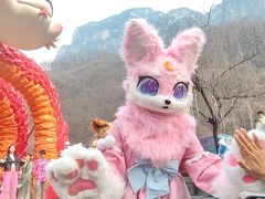 -云台山风景名胜区