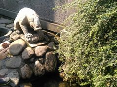 -宁波五龙潭景区