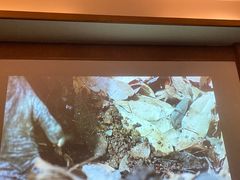 -臻品足道(后湖店)