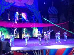 -俄罗斯国家大马戏团