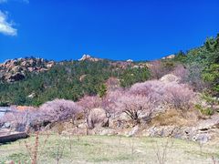 -崂山九水游览区
