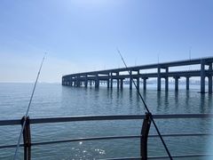 -星海湾跨海大桥
