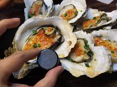 -土蚝·高压锅生蚝(百姓美食街店)