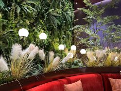 -花隐·美芙炫海菲秀皮肤管理中心