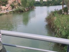 -青枫公园