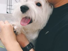 -Oh My Dog宠物沙龙(伊珊娜皮毛护理店)