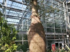 -南山植物园