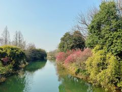 -西溪国家湿地公园