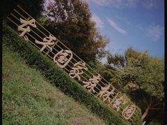 -东平国家森林公园