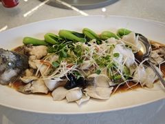 -晋府大酒店