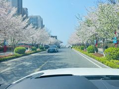 -青岛海尔洲际酒店