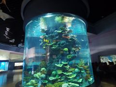 -福州罗源湾海洋世界旅游区