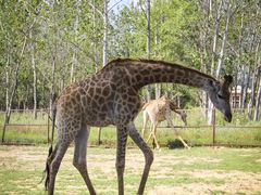 -秦皇岛野生动物园