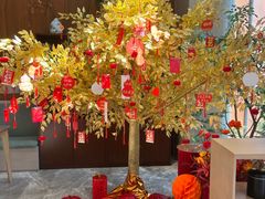 -上海浦东由由信福养老院