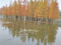 -白鹭湾湿地公园