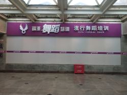 -欲非舞蹈