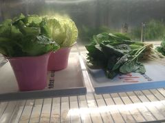 -川麻婆泥锅涮肚·串串火锅(物资学院店)
