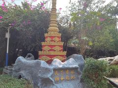 -瑞丽独树成林风景区