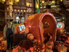 -郑州方特梦幻王国