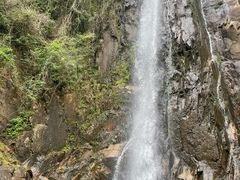 -姑婆山旅游区