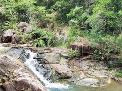 -广州白江湖森林公园