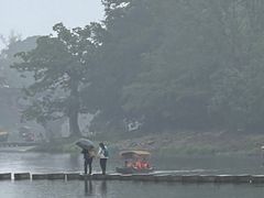 -望江饭店(13年精品店)