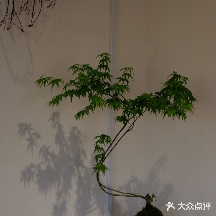 宁波探店｜走马塘新开的窑烤面包