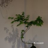 宁波探店｜走马塘新开的窑烤面包