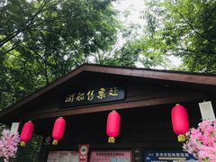 -东湖落雁景区