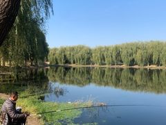 -东坝千亩湖公园