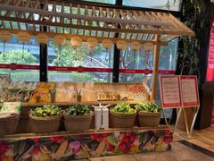 -柴米油盐(土菜院子店)