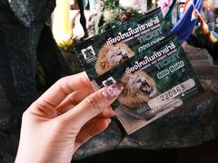 -清迈夜间动物园