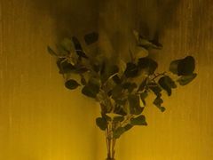 -禧瑞 ·丝浴主题·水疗·spa(中山公园店)