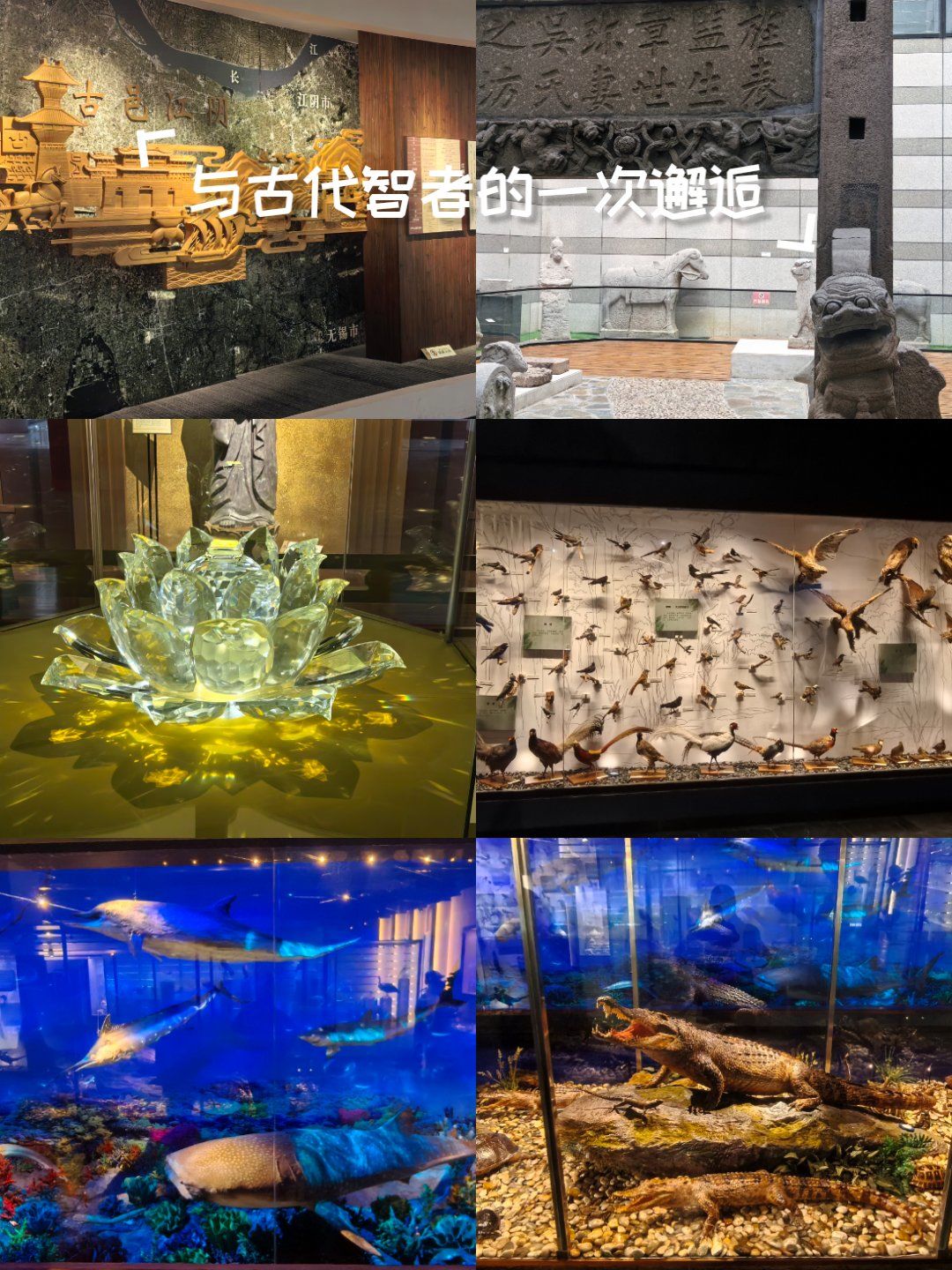 江阴博物馆