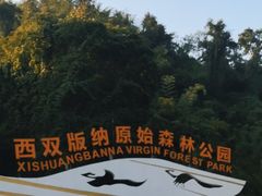 -西双版纳原始森林公园