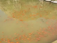 -桑干河大峡谷旅游区