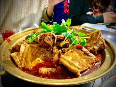-友乐居羊蝎子(西直门店)