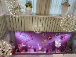 -Yestar艺星医疗美容医院