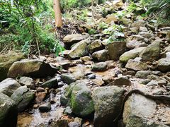 -火炉山森林公园