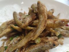 -全乐鱼馆·淳牌有机鱼直营店