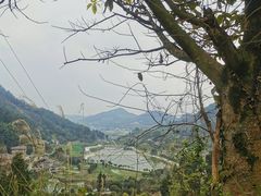 -缙云山景区
