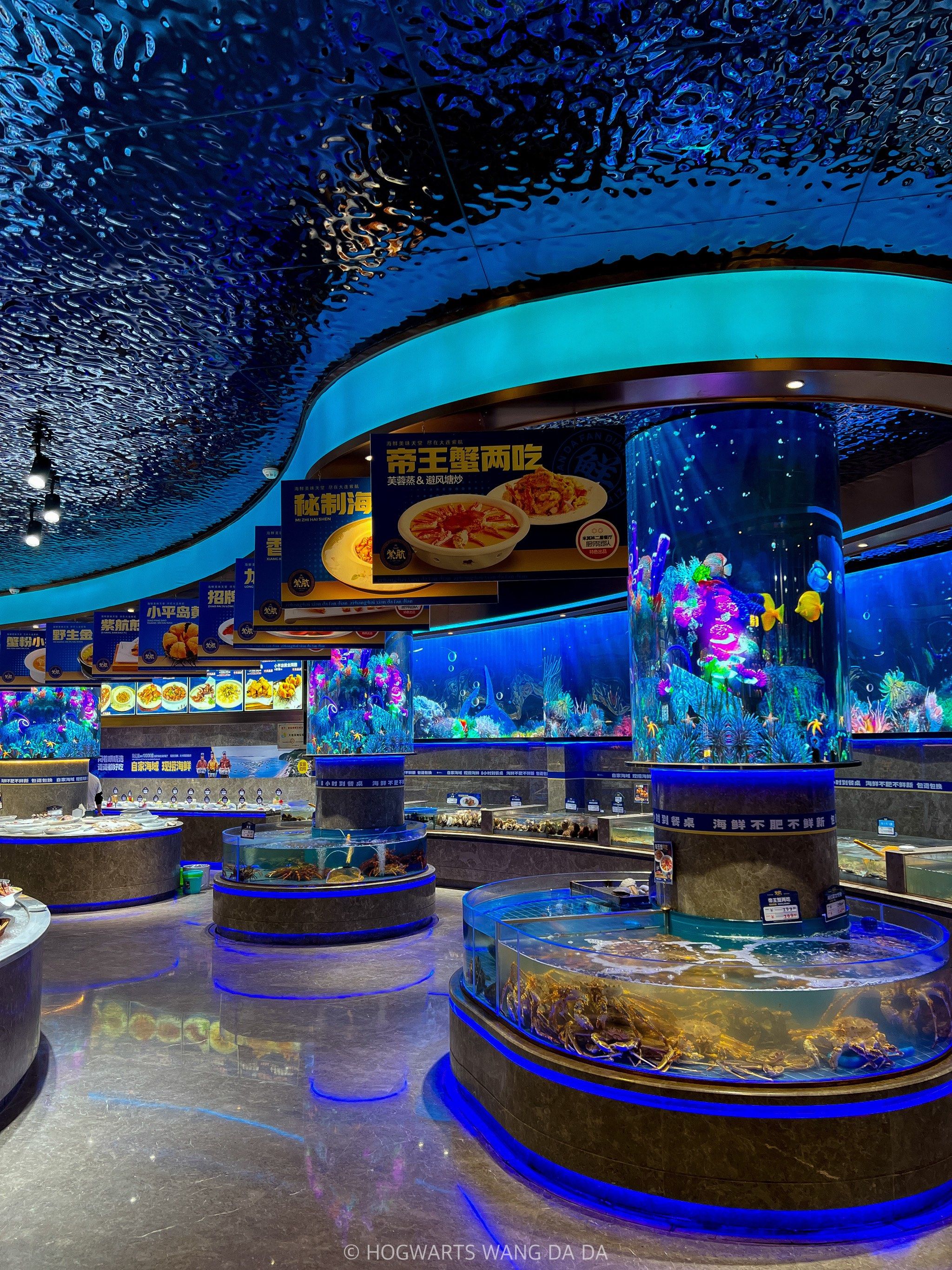 这家海鲜饭店!真的有震撼到我!