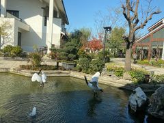 -广富林宰相府酒店·水云间