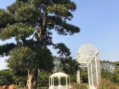 -迪茵湖田家舍生态农场