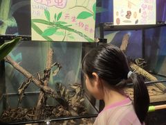 -正佳雨林生态植物园
