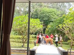 -南宁荔园维景国际酒店·荔园中餐厅